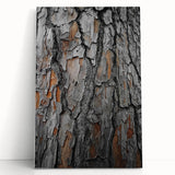 Rustic Tree Bark Texture Wall Art – Nature-Inspired Farmhouse Decor