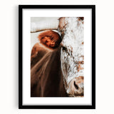 Rustic Cow Close-Up Wall Art – Farmhouse Animal Decor for Cozy Spaces