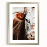 Rustic Cow Close-Up Wall Art – Farmhouse Animal Decor for Cozy Spaces
