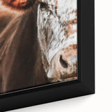 Rustic Cow Close-Up Wall Art – Farmhouse Animal Decor for Cozy Spaces