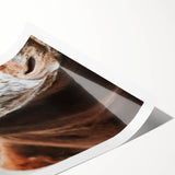 Rustic Cow Close-Up Wall Art – Farmhouse Animal Decor for Cozy Spaces