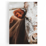 Rustic Cow Close-Up Wall Art – Farmhouse Animal Decor for Cozy Spaces
