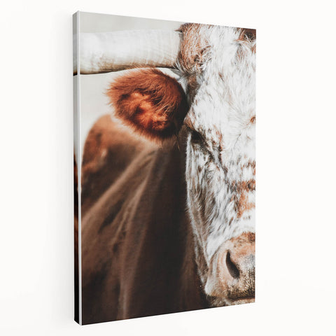 Rustic Cow Close-Up Wall Art – Farmhouse Animal Decor for Cozy Spaces