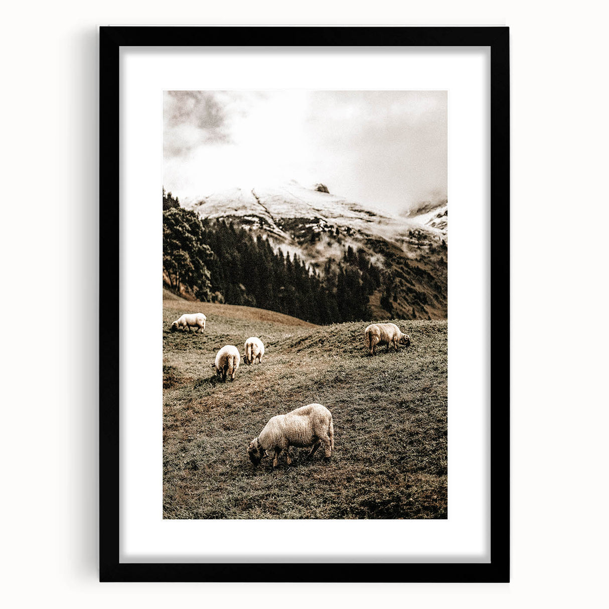 Rustic Sheep in Mountain Landscape – Farmhouse Pastoral Wall Art