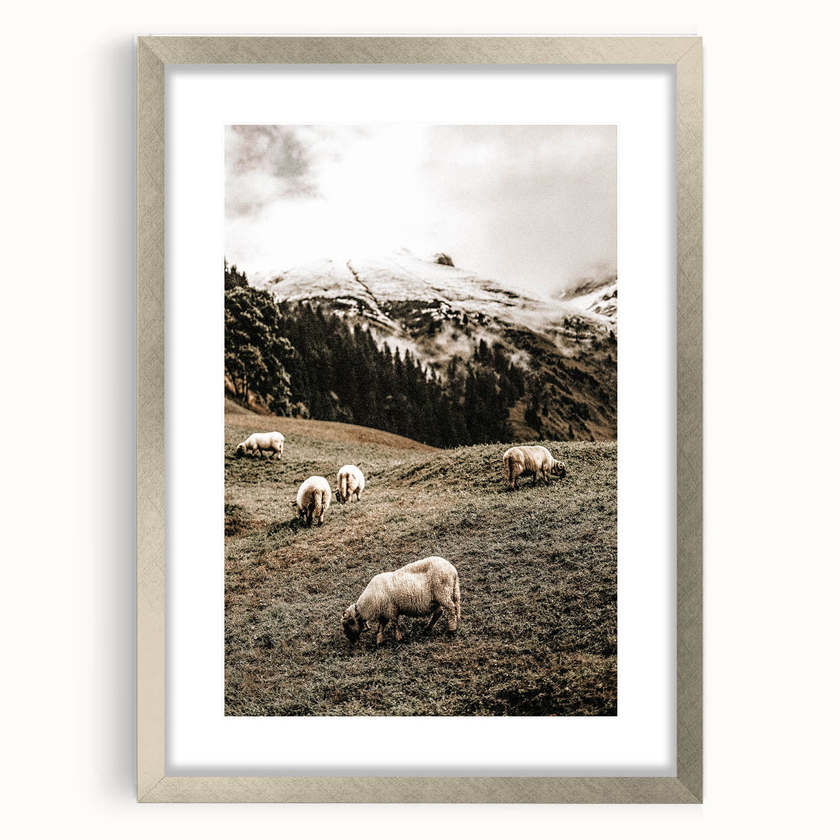 Rustic Sheep in Mountain Landscape – Farmhouse Pastoral Wall Art