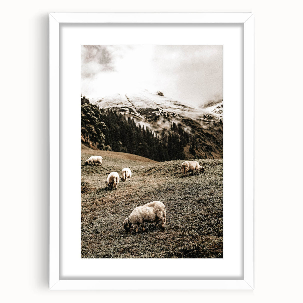 Rustic Sheep in Mountain Landscape – Farmhouse Pastoral Wall Art