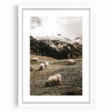 Rustic Sheep in Mountain Landscape – Farmhouse Pastoral Wall Art