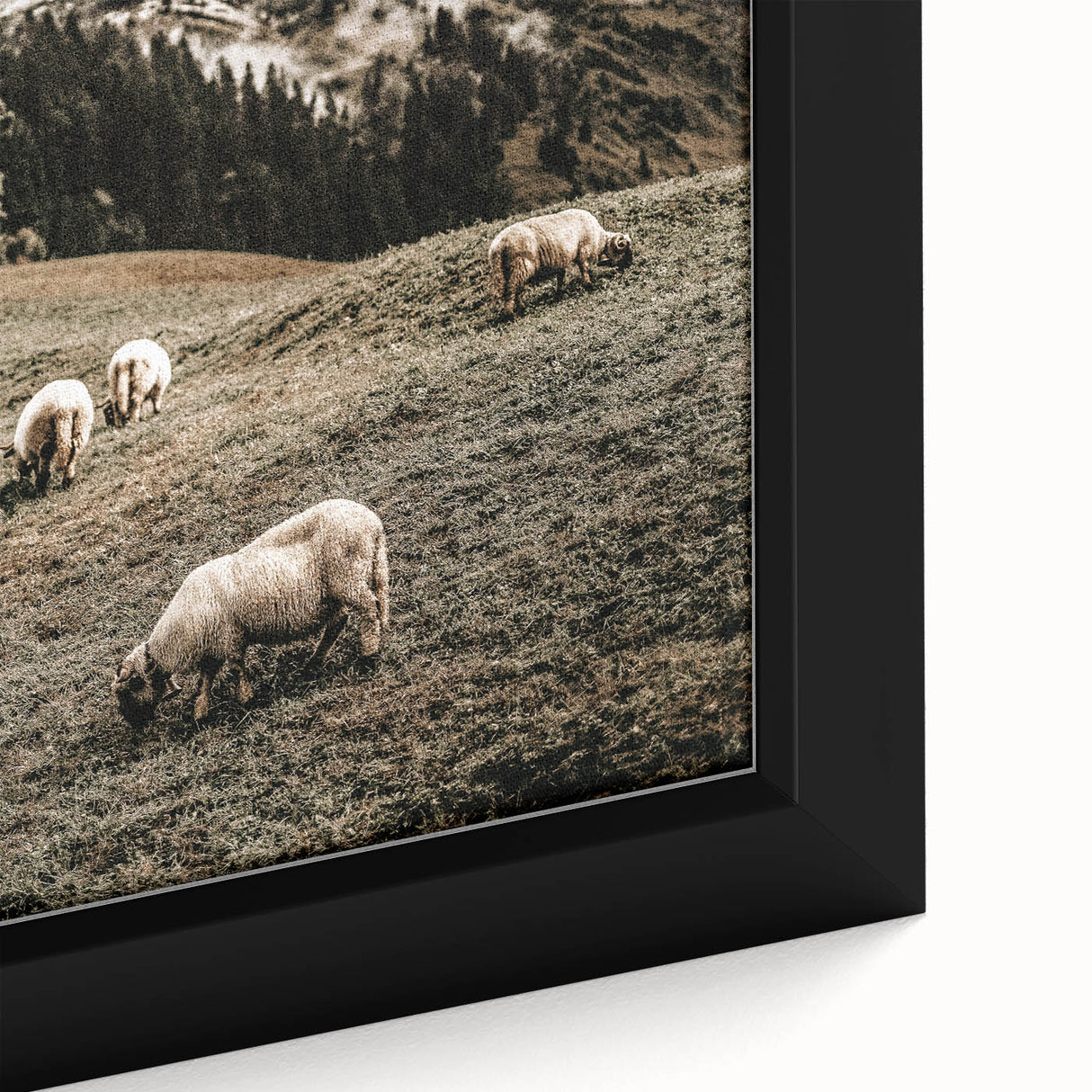 Rustic Sheep in Mountain Landscape – Farmhouse Pastoral Wall Art