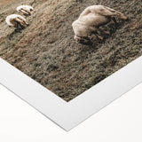 Rustic Sheep in Mountain Landscape – Farmhouse Pastoral Wall Art