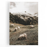 Rustic Sheep in Mountain Landscape – Farmhouse Pastoral Wall Art