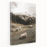Rustic Sheep in Mountain Landscape – Farmhouse Pastoral Wall Art
