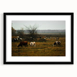 Rustic Farm Landscape Wall Art – Grazing Cows in Serene Pasture Scene