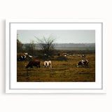 Rustic Farm Landscape Wall Art – Grazing Cows in Serene Pasture Scene