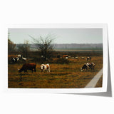 Rustic Farm Landscape Wall Art – Grazing Cows in Serene Pasture Scene