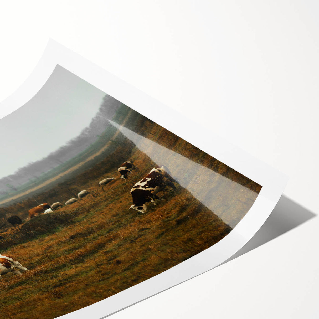 Rustic Farm Landscape Wall Art – Grazing Cows in Serene Pasture Scene