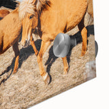 Rustic Horse Wall Art – Wild Horses Running in a Countryside Scene