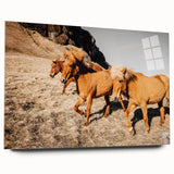 Rustic Horse Wall Art – Wild Horses Running in a Countryside Scene