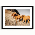 Rustic Horse Wall Art – Wild Horses Running in a Countryside Scene