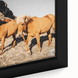 Rustic Horse Wall Art – Wild Horses Running in a Countryside Scene