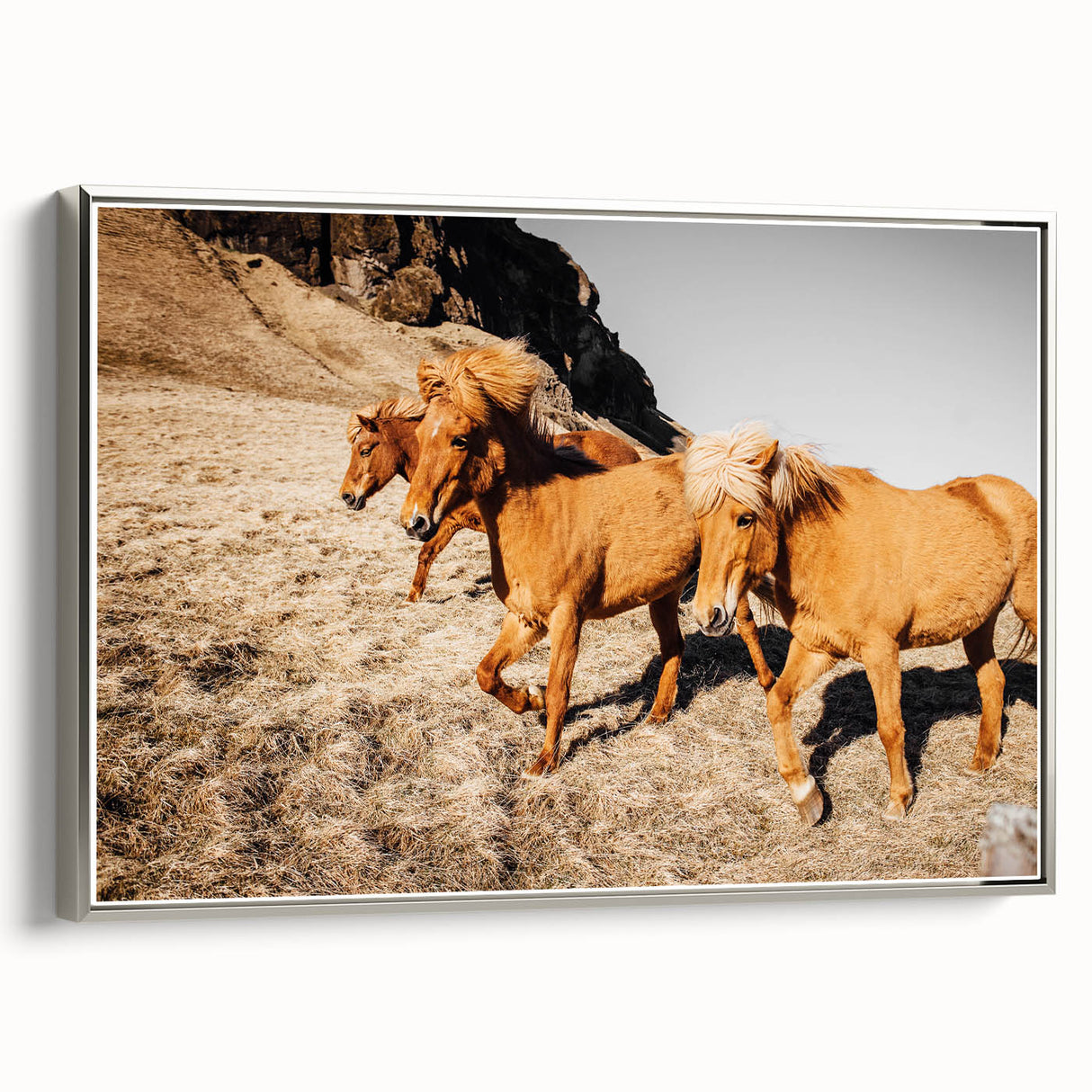 Rustic Horse Wall Art – Wild Horses Running in a Countryside Scene