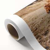 Rustic Horse Wall Art – Wild Horses Running in a Countryside Scene