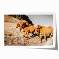 Rustic Horse Wall Art – Wild Horses Running in a Countryside Scene