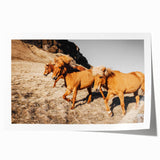 Rustic Horse Wall Art – Wild Horses Running in a Countryside Scene