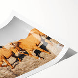 Rustic Horse Wall Art – Wild Horses Running in a Countryside Scene