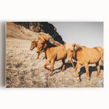 Rustic Horse Wall Art – Wild Horses Running in a Countryside Scene