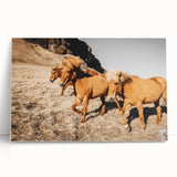 Rustic Horse Wall Art – Wild Horses Running in a Countryside Scene