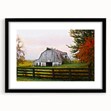 Rustic Barn Wall Art – Weathered Gray Barn with Autumn Foliage