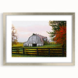 Rustic Barn Wall Art – Weathered Gray Barn with Autumn Foliage