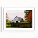 Rustic Barn Wall Art – Weathered Gray Barn with Autumn Foliage