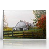 Rustic Barn Wall Art – Weathered Gray Barn with Autumn Foliage
