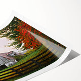 Rustic Barn Wall Art – Weathered Gray Barn with Autumn Foliage