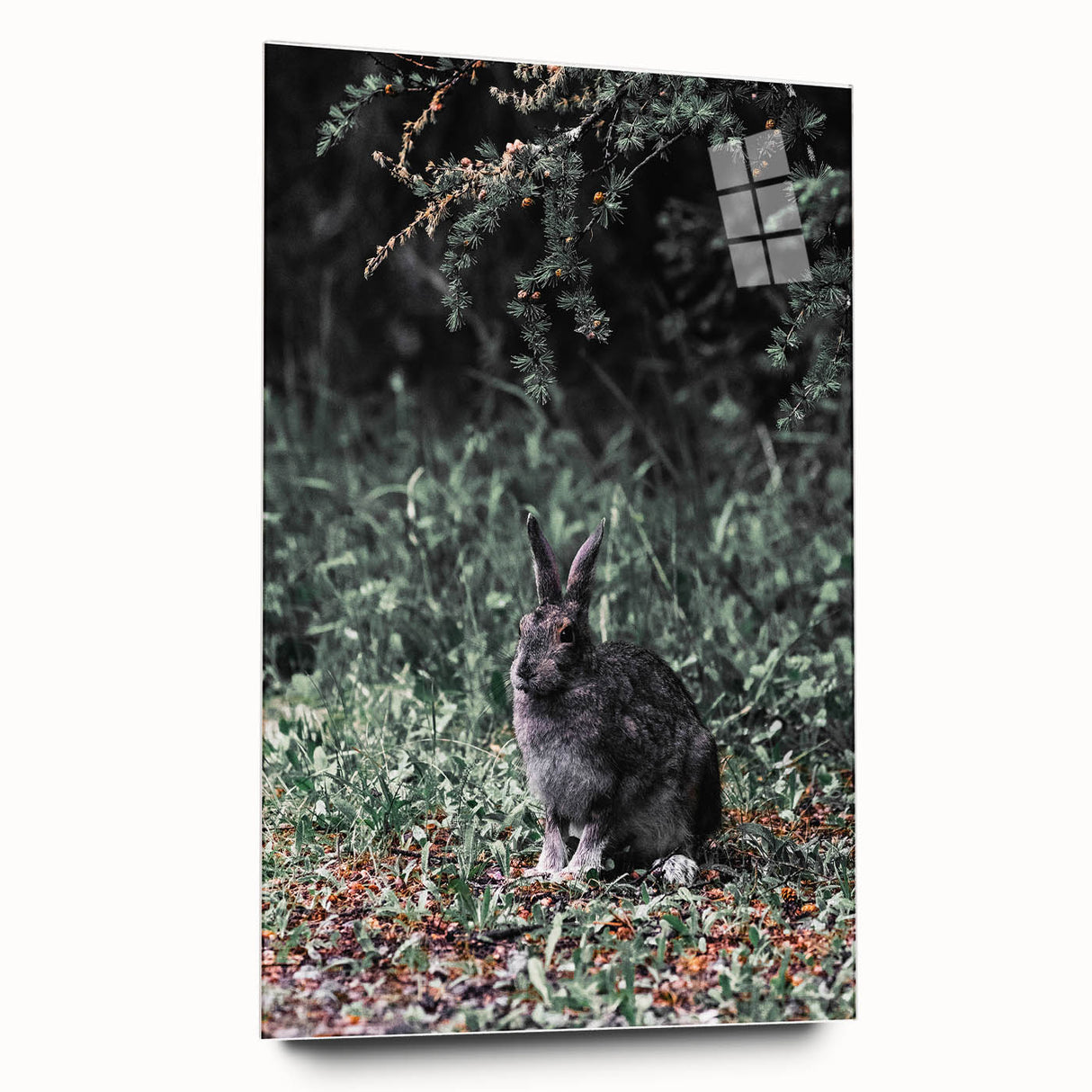 Forest Rabbit: Serene Rustic Nature Wall Art Print