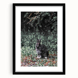 Forest Rabbit: Serene Rustic Nature Wall Art Print