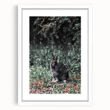 Forest Rabbit: Serene Rustic Nature Wall Art Print