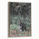 Forest Rabbit: Serene Rustic Nature Wall Art Print