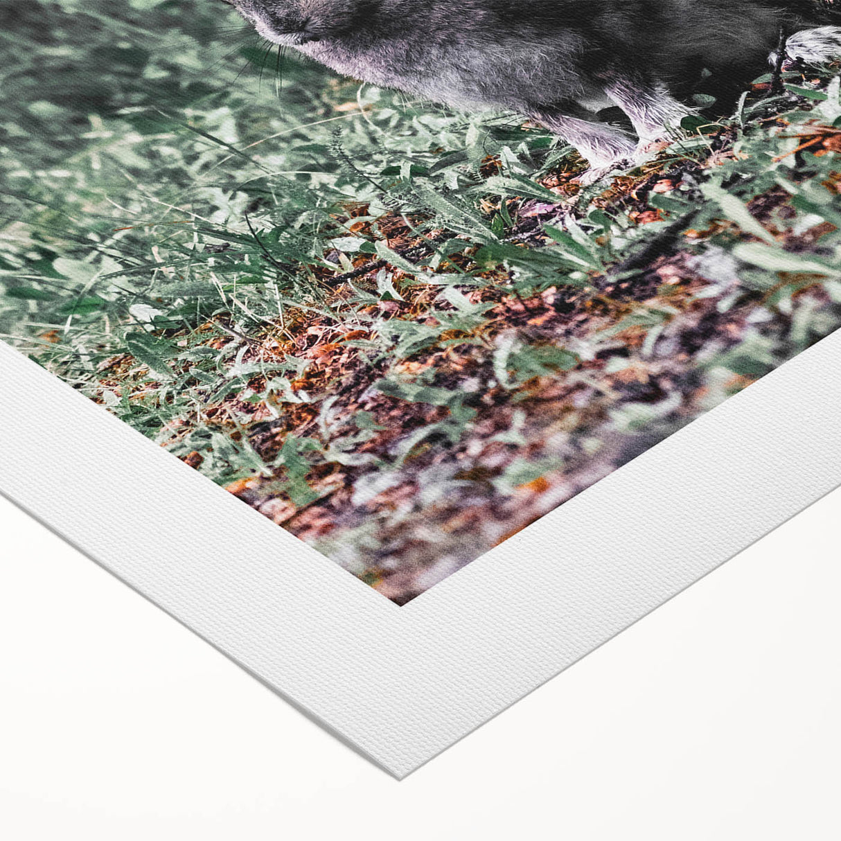 Forest Rabbit: Serene Rustic Nature Wall Art Print