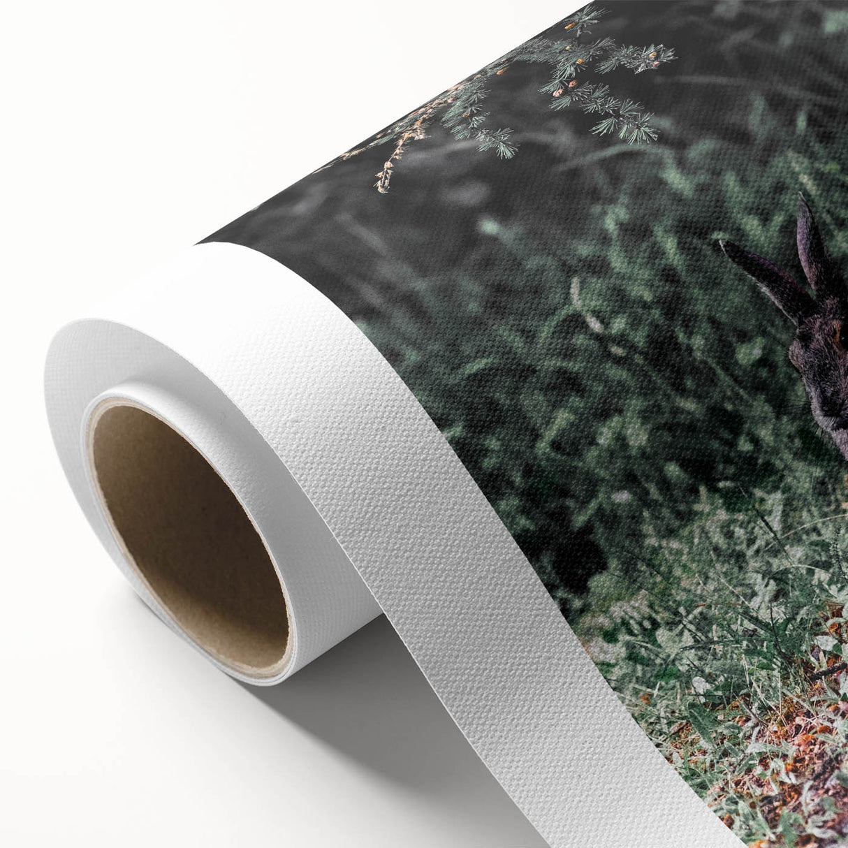 Forest Rabbit: Serene Rustic Nature Wall Art Print