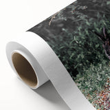 Forest Rabbit: Serene Rustic Nature Wall Art Print