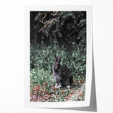 Forest Rabbit: Serene Rustic Nature Wall Art Print