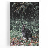 Forest Rabbit: Serene Rustic Nature Wall Art Print