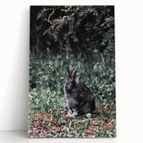 Forest Rabbit: Serene Rustic Nature Wall Art Print