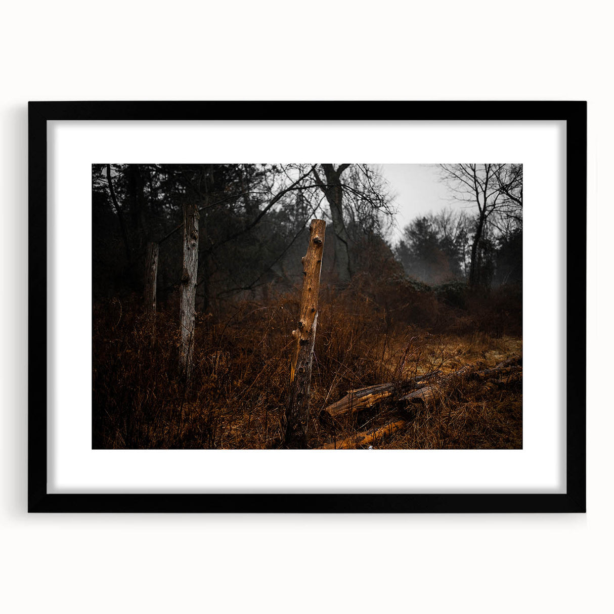 Rustic Nature Wall Art – Weathered Wooden Fence Posts in Forest Scene