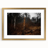 Rustic Nature Wall Art – Weathered Wooden Fence Posts in Forest Scene