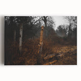 Rustic Nature Wall Art – Weathered Wooden Fence Posts in Forest Scene