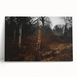 Rustic Nature Wall Art – Weathered Wooden Fence Posts in Forest Scene