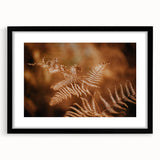 Rustic Fern Wall Art – Delicate Autumn Fern Leaves for Rustic Decor